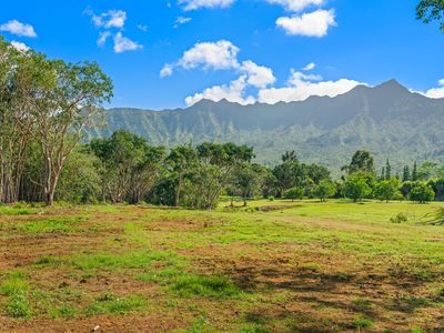 Halaulani Rd #5, Kilauea, HI, 96754