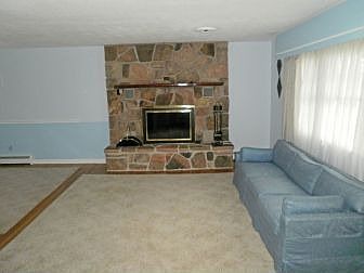 Stone LP Gas fireplace in the living room