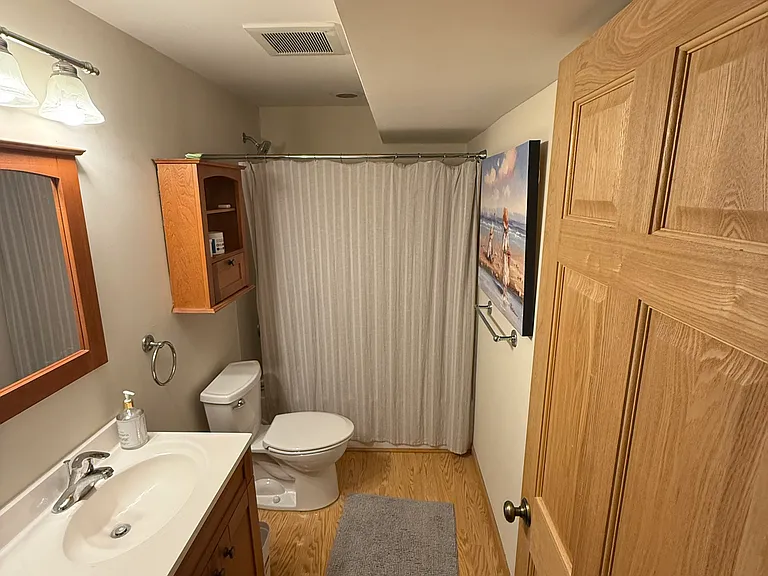 Lower Level bathroom