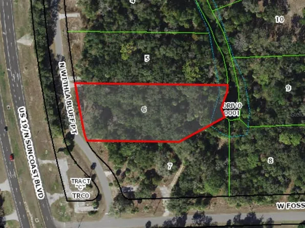 11043 N WITHLA BLUFF POINT LOT 6, INGLIS, FL 34449