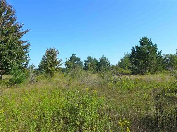 6640 Carey Rd, Cheboygan, MI 49721