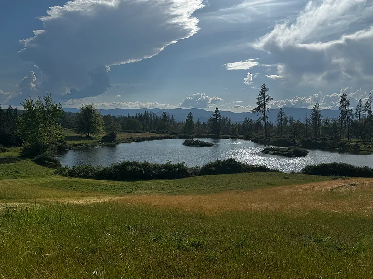 7000 Monument Dr — Photo 4