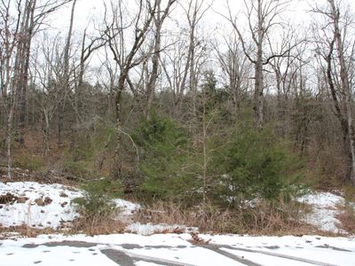 LOT 43 Elly Ln, Flippin, AR, 72634