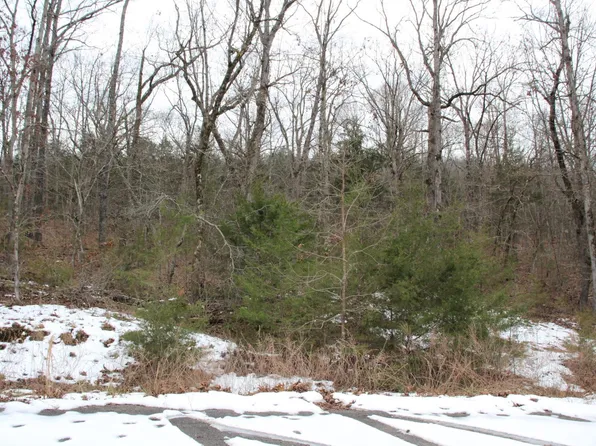 LOT 43 Elly Ln, Flippin, AR 72634