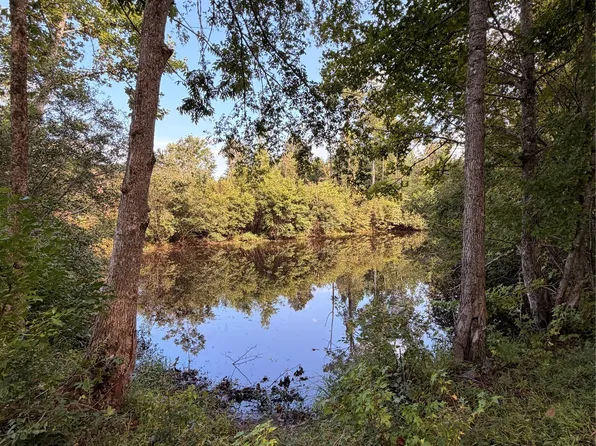 3563 Old Meriwether Trl, Lapine, AL 36046
