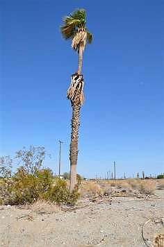 1st image of 2862 Treadwell Blvd