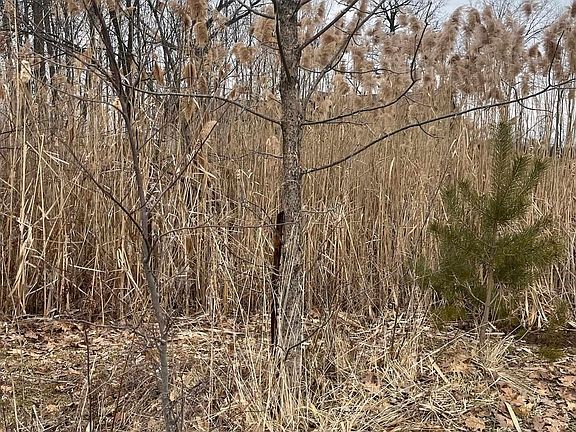 4th image of 0 Fox Ridge Ln #1-A