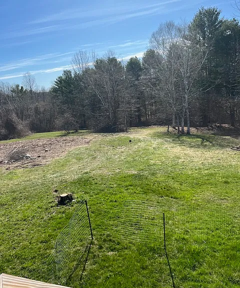 looking off the deck