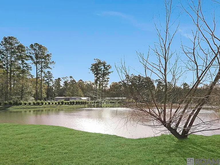 10422 Belle Isle Ln — Photo 4