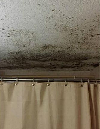5th image of 1885 W 56th St APT 205