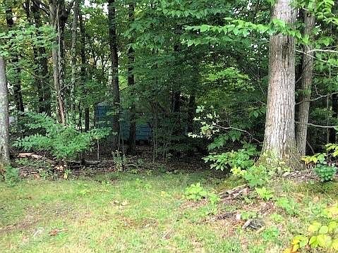 2nd image of 66 Lake Dr W