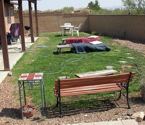 Back Yard last year