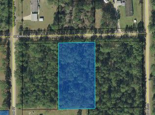 5535 Cherry Ln, Bunnell, FL 32110