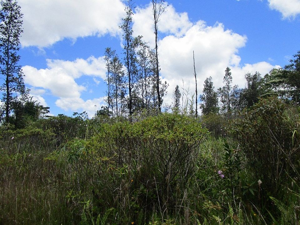 2nd image of Silversword Dr Lot 18