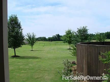 View from back porch