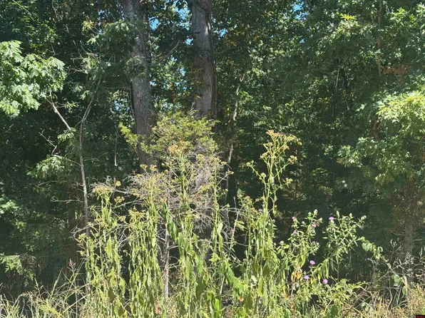 Lots 198 201 Wick Rd, Mountain Home, AR 72653