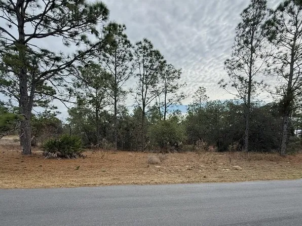 4143 W Dorchester Cir Lot 1, Dunnellon, FL 34433