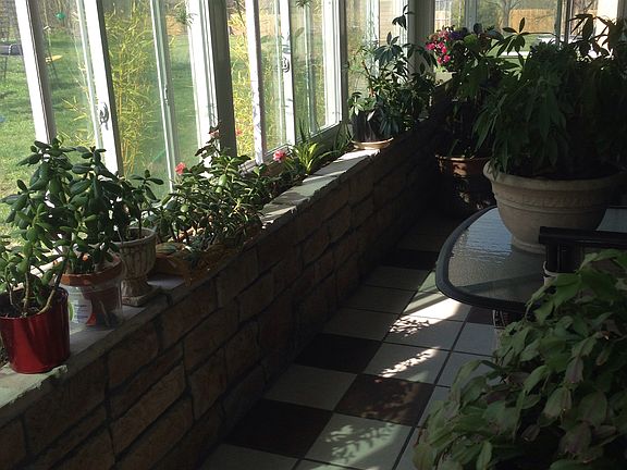 Greenhouse/sun room.