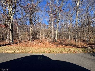 14 Starlite Hill Rd, Columbia, NJ, 07832