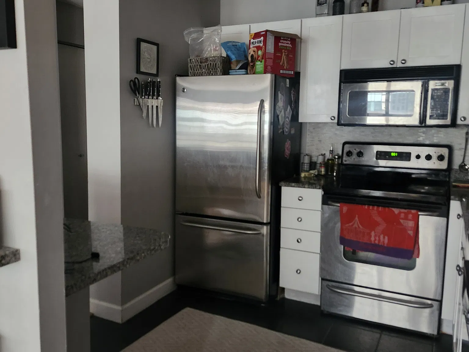 1 bed, 800 sqft, $2,395 — Photo 3