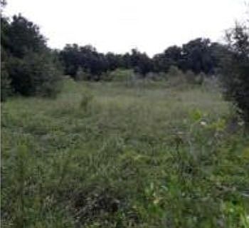 1st image of 7104 Cr 614