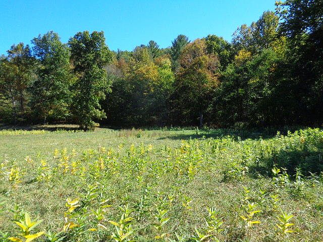 2nd image of 4403 Dunlap Creek Rd