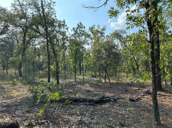 63 Southeast Ln, Morriston, FL 32668