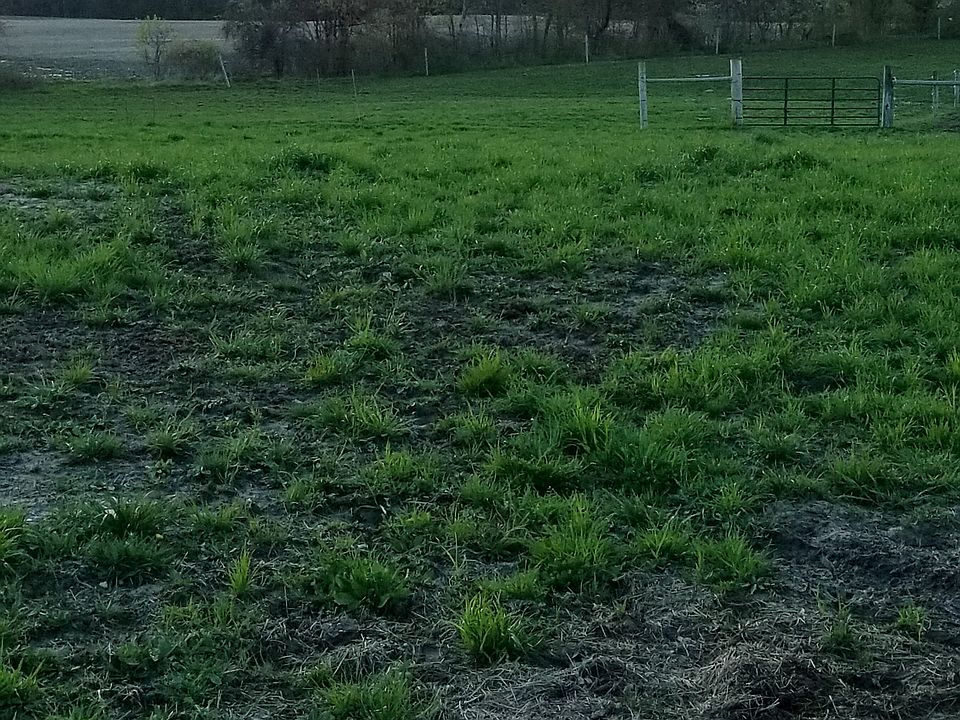 1st image of 0 Angling