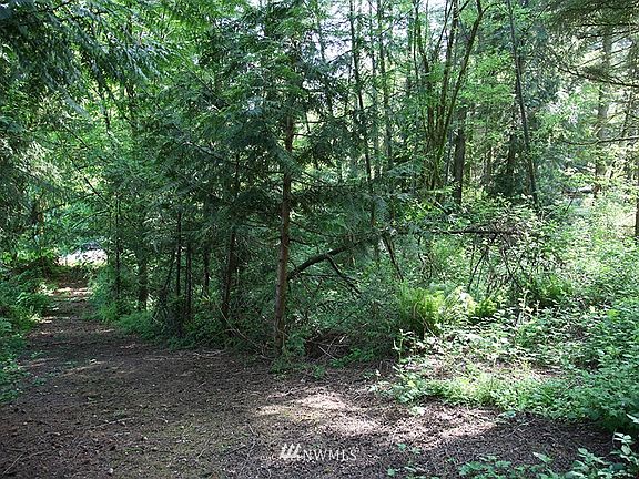 4th image of 553 SW Black Jack Lane
