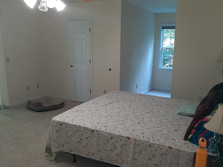 370 Timberline Dr — Photo 9