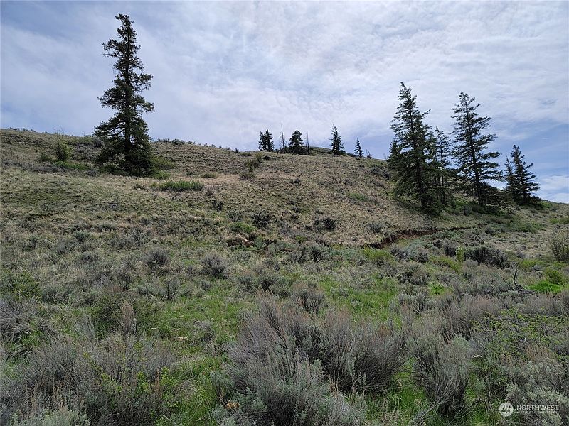 2nd image of 98 Tyee View Loop RD