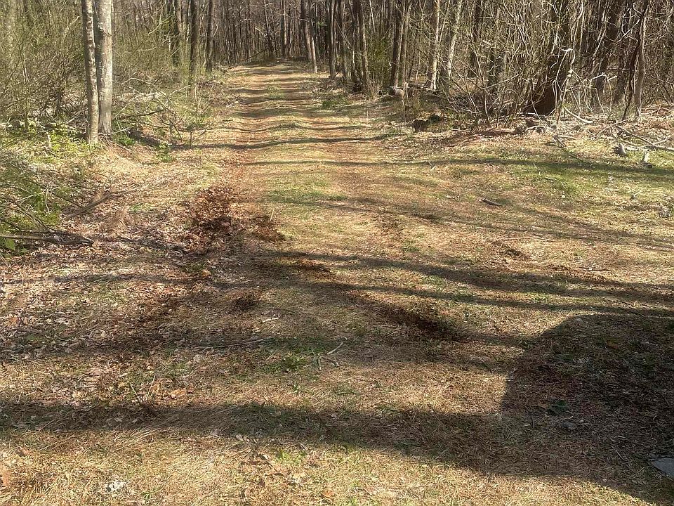 2nd image of LOT 17 Woods Gap Rd