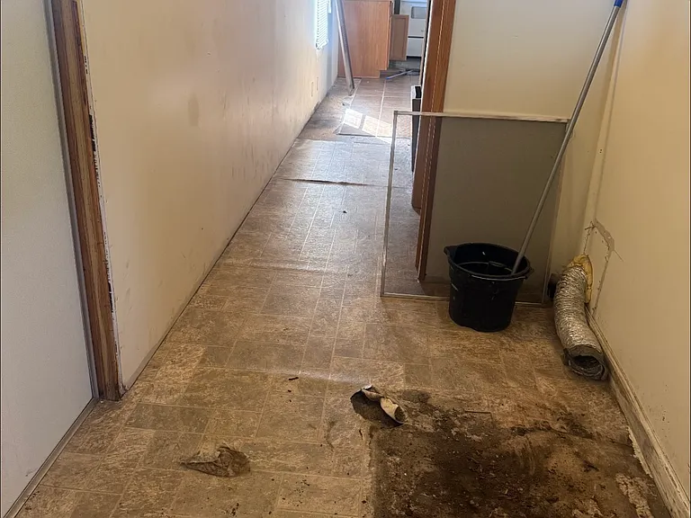2316 New Moon Ct — Photo 3