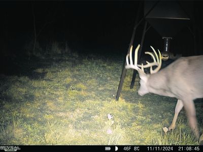 Bunce Rd, Gallipolis, OH, 45631