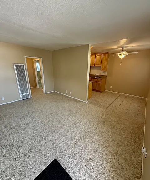 1009 Seabreeze Dr — Photo 3