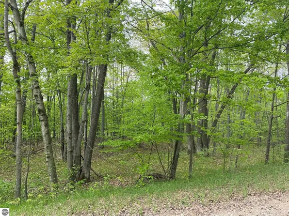 Ticino Dr #352, Reed City, MI 49677