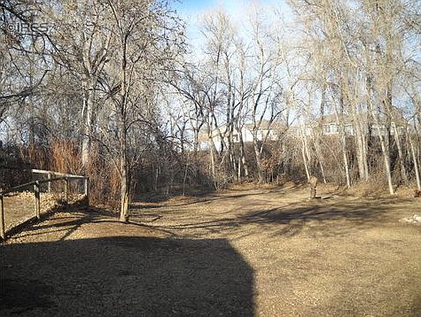 Part of Back Yard