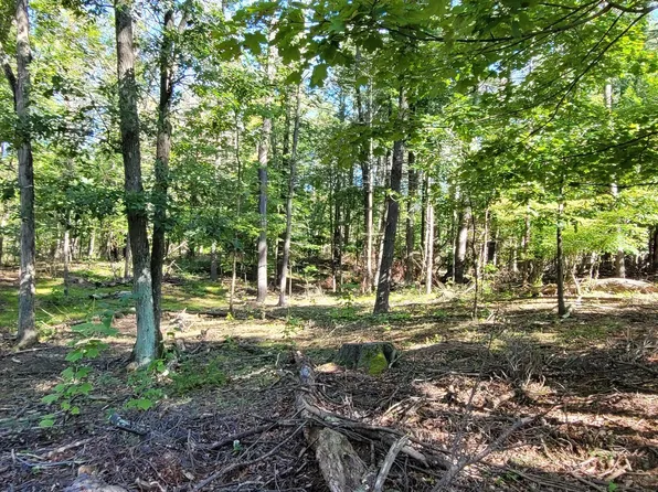 L20 High Hill Road, Coxsackie, NY 12051