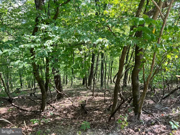 48 Highland Springs Rd, Old Fields, WV 26845