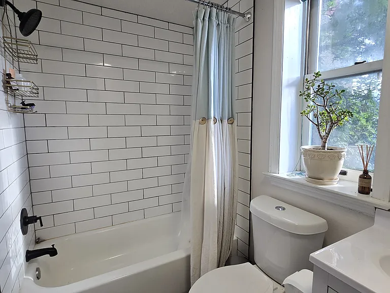 1239 Buena Vista St #2 — Photo 13