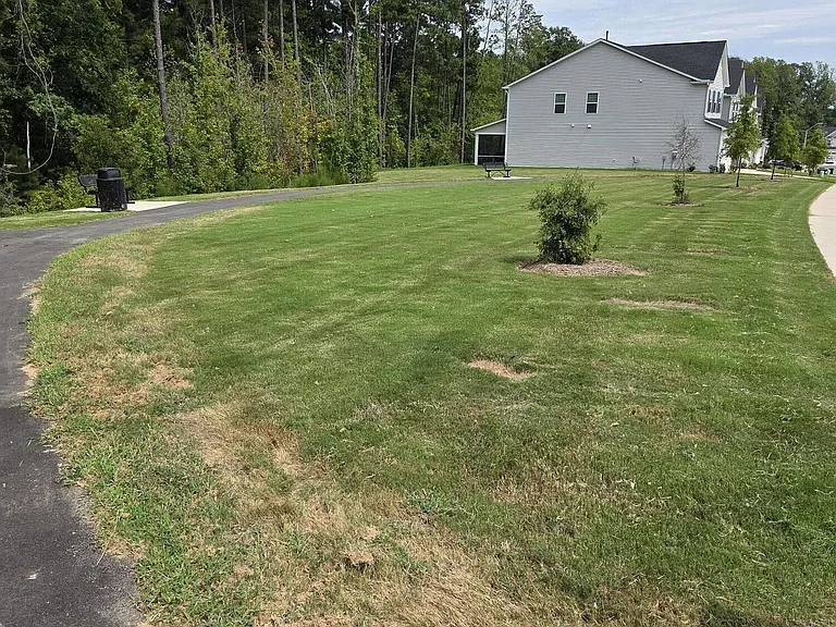 223 Aster Bloom Ln #126 — Photo 33