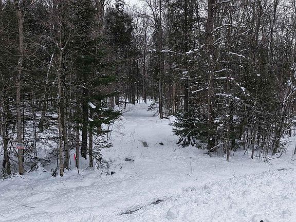 4th image of 43+/- AC County Rd FF Acres