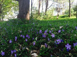 Linderman Rd, Bear Lake, MI 49614