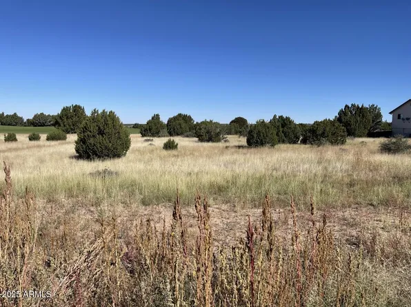 1951 CREEKSIDE Circle #77, Show Low, AZ 85901