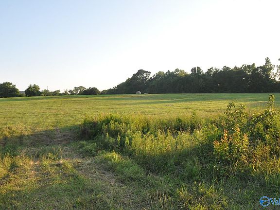 5th image of County Road 203