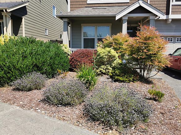 2nd image of 12606 SE 279th Pl
