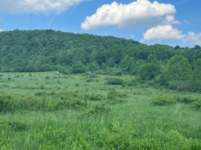 170 N Sanford Rd, Deposit, NY, 13754