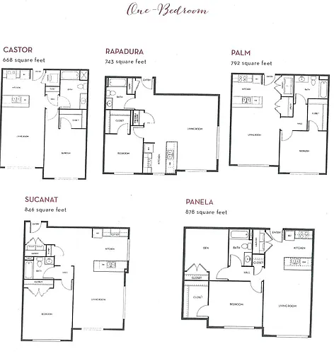 Floor plan 1x1 Multiple Floorplans - Now to September