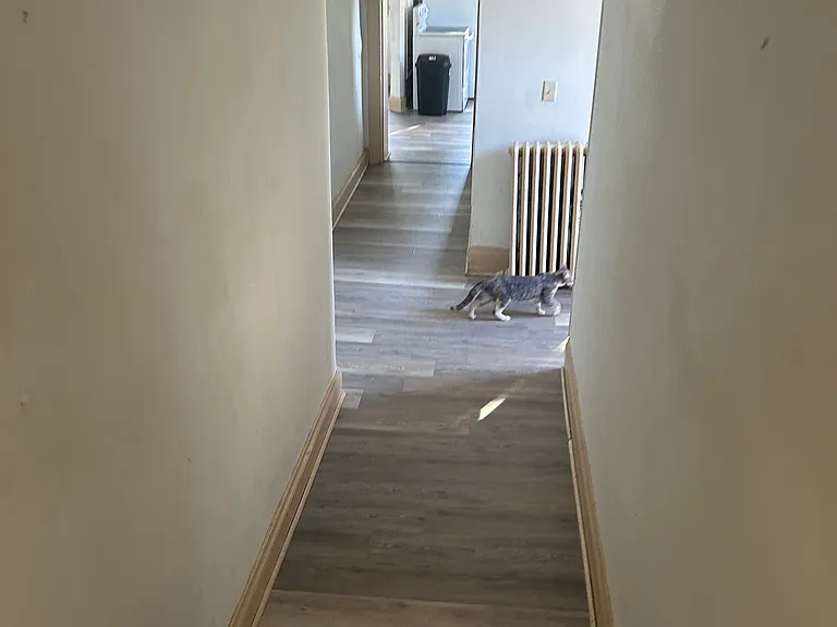 416 Main St #4 — Photo 9