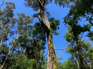 87-5001 Pahoehoe LOT 4-B, Captain Cook, HI 96704